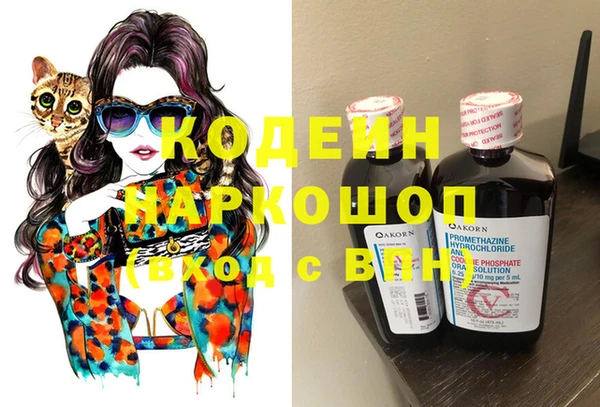 сатива Балахна