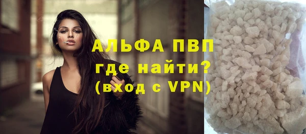сатива Балахна