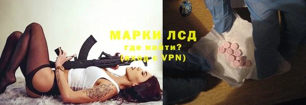 сатива Балахна