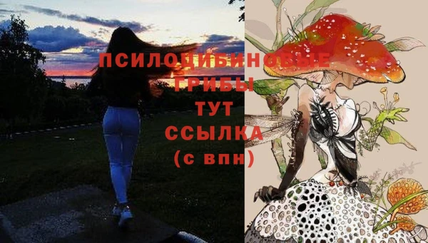 сатива Балахна