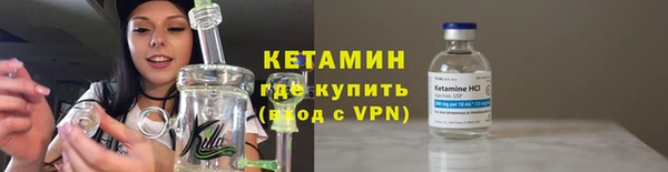 сатива Балахна