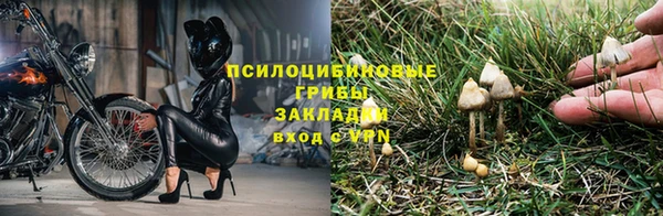 дурь Балабаново