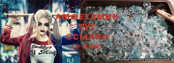 сатива Балахна
