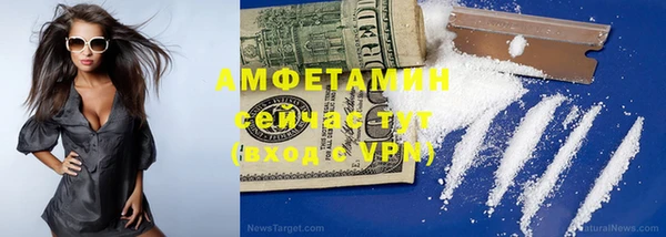 сатива Балахна