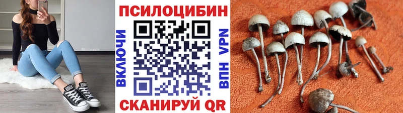 Псилоцибиновые грибы GOLDEN TEACHER  Вяземский 