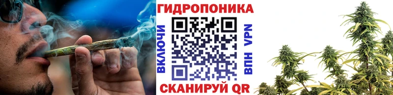 Канабис OG Kush это состав Вяземский